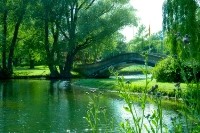 Toronto Island